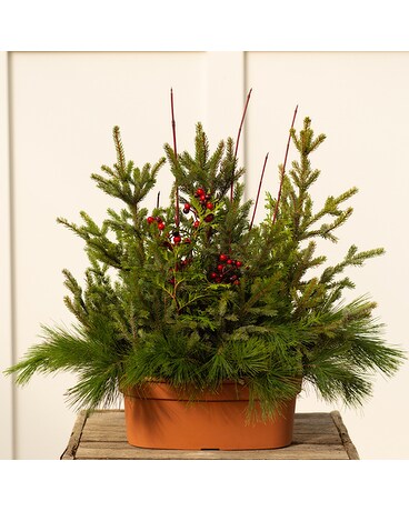 Evergreen Window Box Custom product