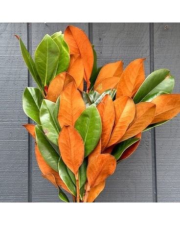 Magnolia Tips Custom product