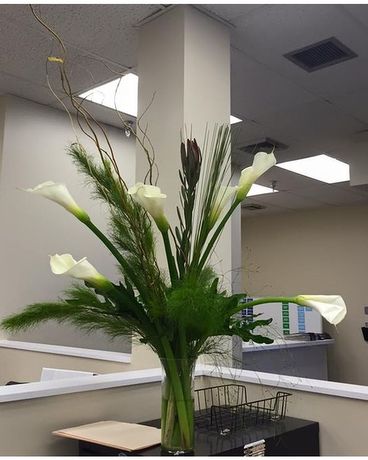 Long Stem Calla Lillies Flower Arrangement