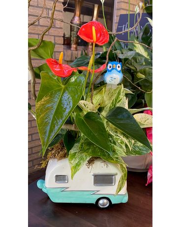 Camping Anyone Flower Arrangement