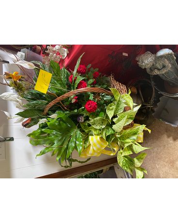 European Basket with Blooming Plant Basket Arrangement