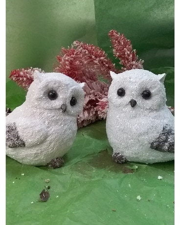 White Christmas Owls Gifts