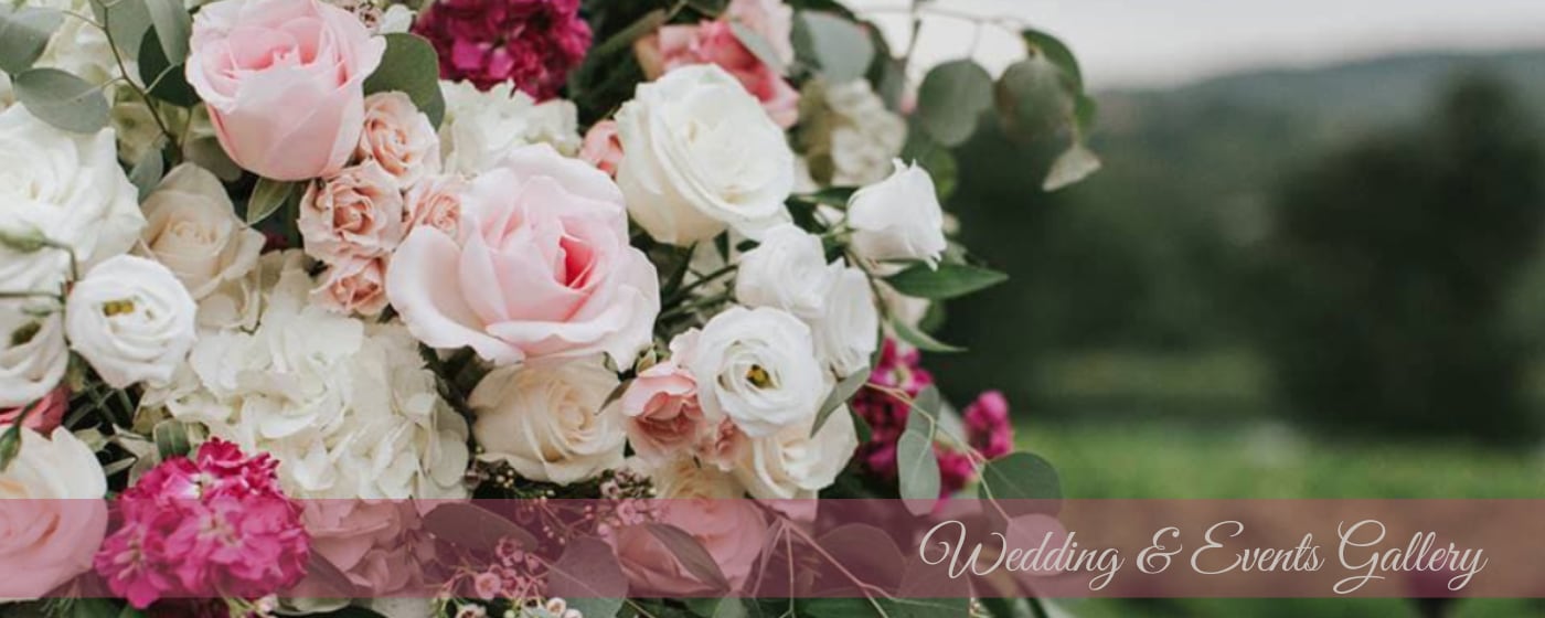 View Events Gallery