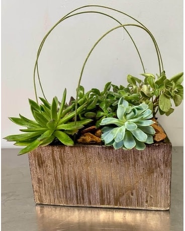 Stunning Succulent Garden Flower Arrangement