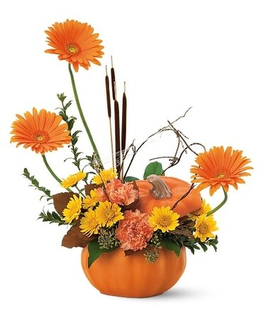 Autumn Pumpkin Flower Arrangement