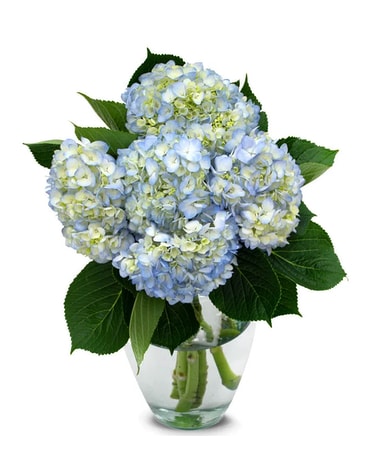 August 'Cool' Special Flower Arrangement
