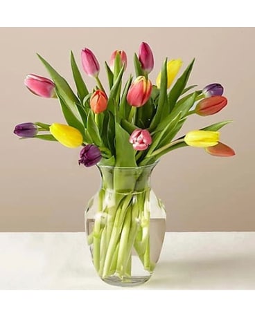 Precious Tulips Flower Arrangement