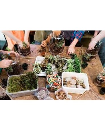Terrarium Class for Adults Flower Arrangement