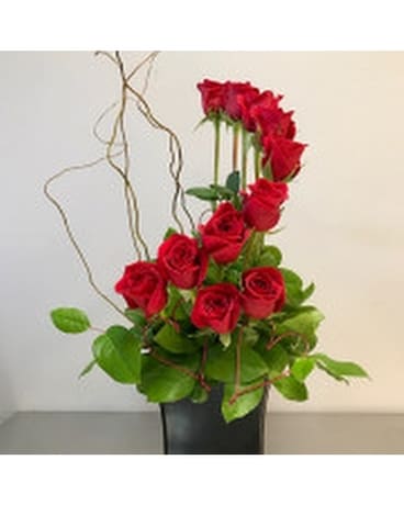 Contemporary Rose Dozen Flower Arrangement