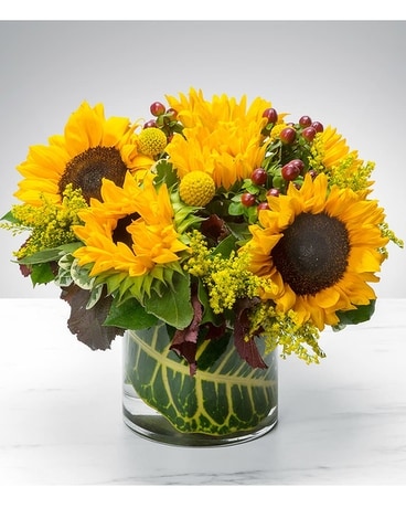 Stylish Sunny Sunflowers Flower Arrangement