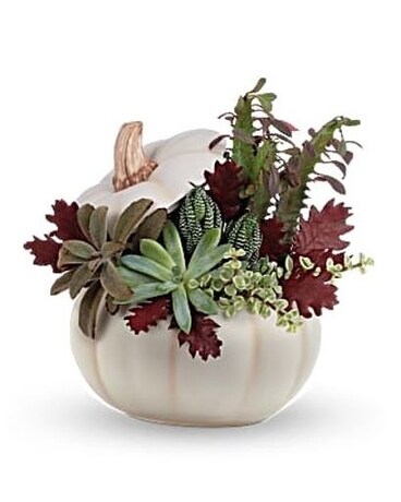 Fall Succulent Garden Flower Arrangement