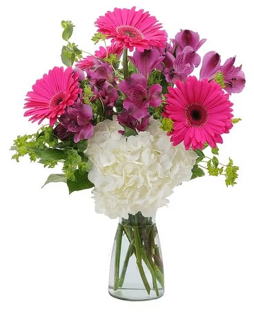 Too Cute Flower Arrangement
