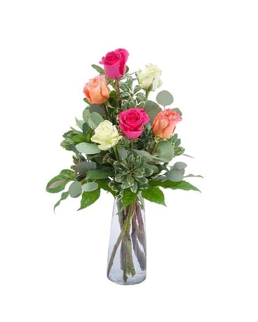 Six Colorful Roses Flower Arrangement