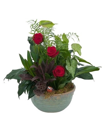 Dish Garden with Fresh Roses Flower Arrangement