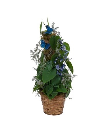 Plant Basket with Butterflies Flower Arrangement