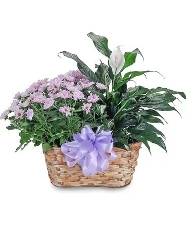 Blooming Peacefully Flower Arrangement