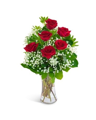 Six Red Roses and a Million Stars Flower Arrangement