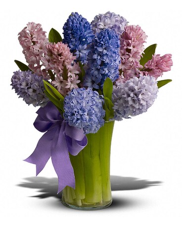 Fragrant Hyacinths Flower Arrangement