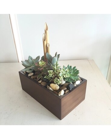 Yin Plant