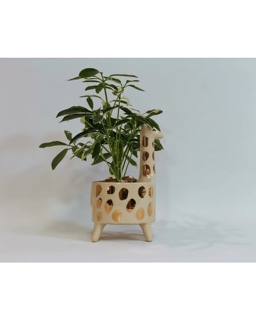 Jill the Giraffe Flower Arrangement