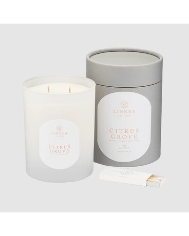 Linnea Citrus Grove 2 Wick Candle Jar Candle