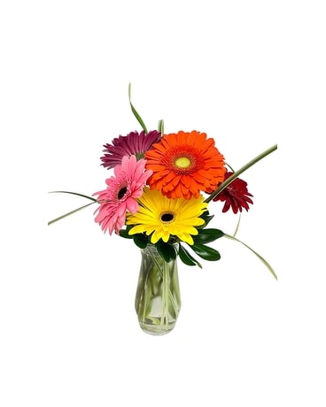 Florist St Louis MO - Flower Delivery St Louis Missouri