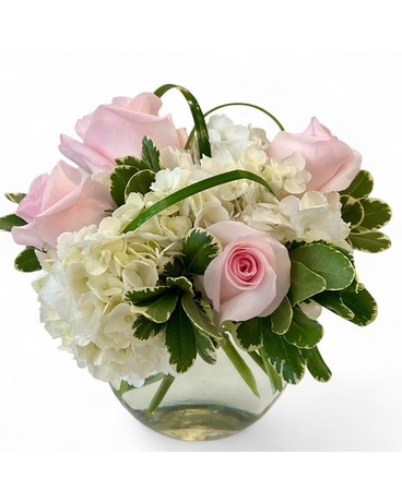 Mother's Day Delivery St. Louis MO - Alex Waldbart Florist