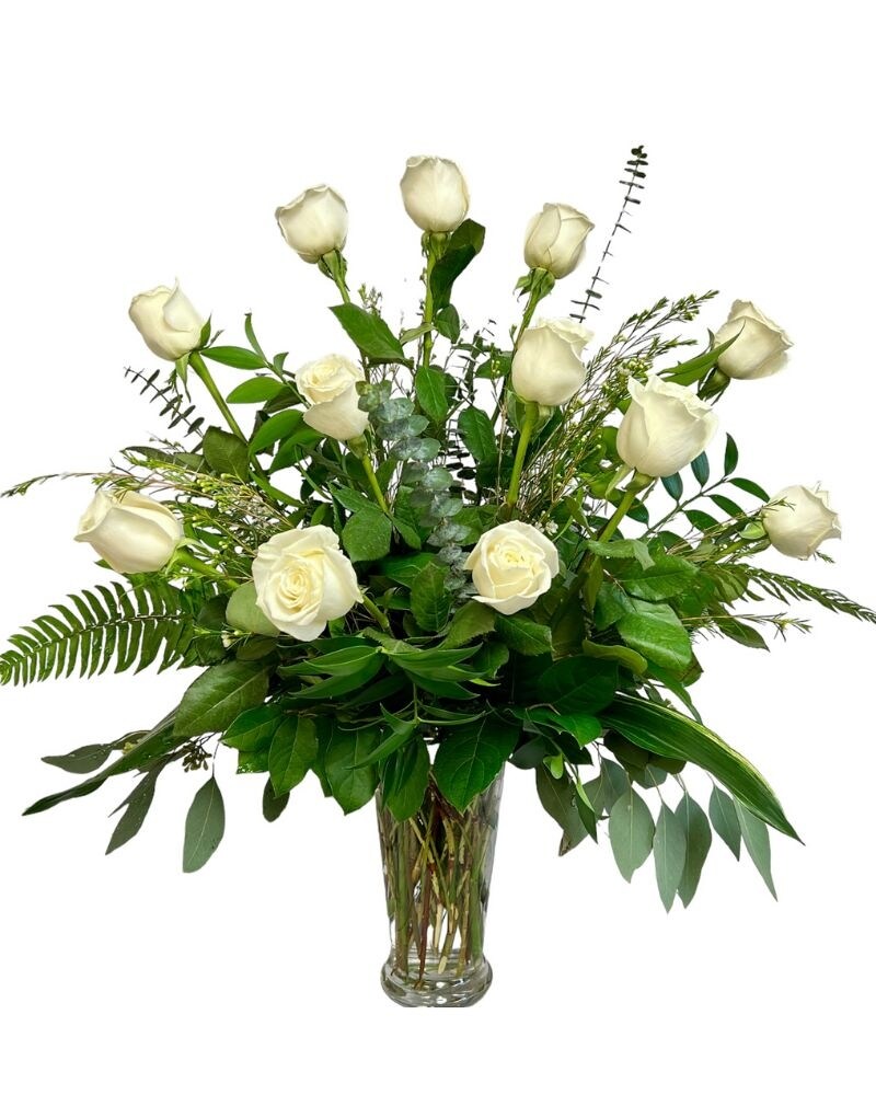 One Dozen Premium Long Stem White Roses in St. Louis MO - Alex
