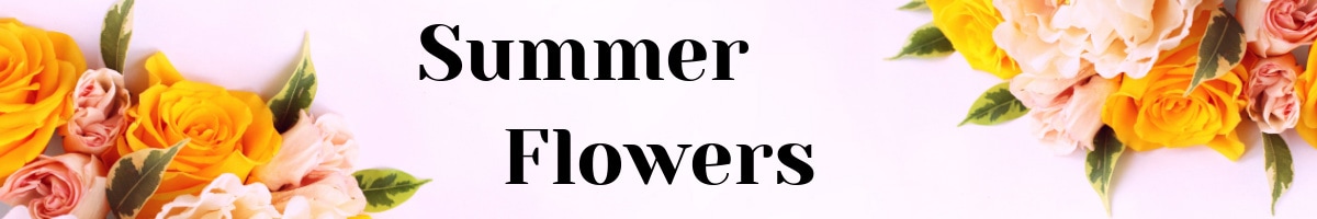 summer