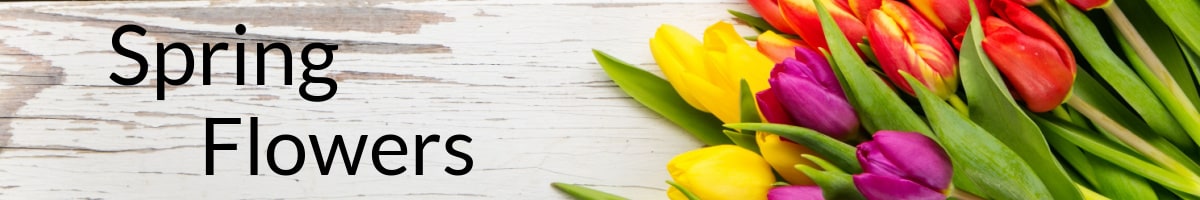 Spring