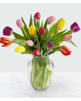 Tulip Medley Flower Arrangement