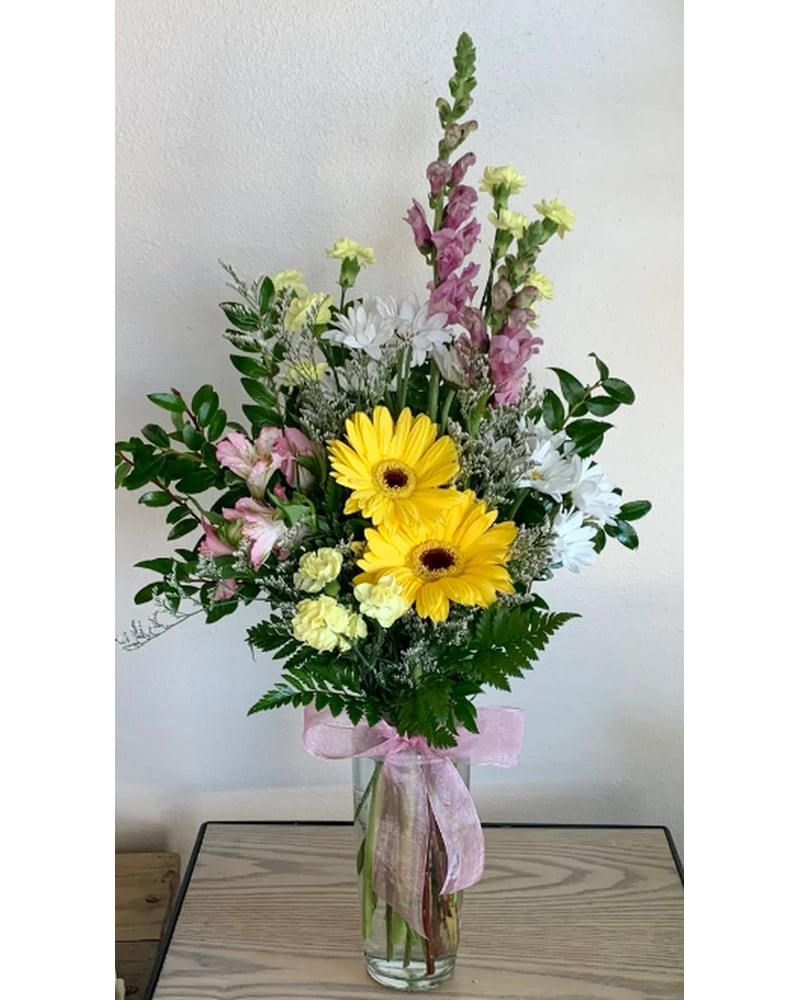 フラワー・ガーデニング Agave montana 'Lime Flash' 67 フラワー・ガーデニング Agave montana 'Lime Flash' 67 Agave montana