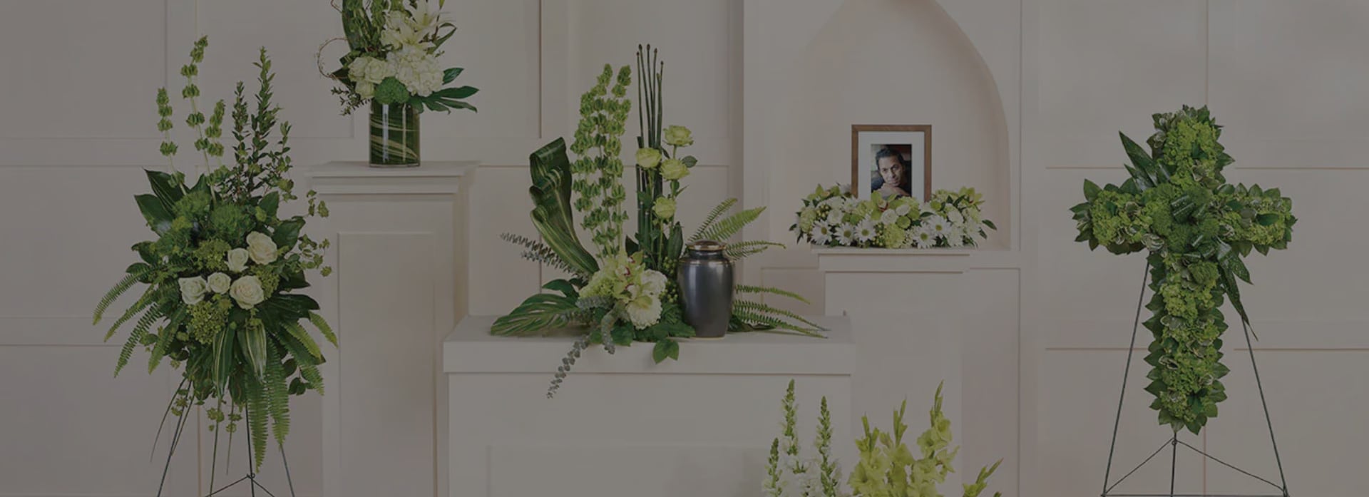 TRANQUIL PEACE COLLECTION