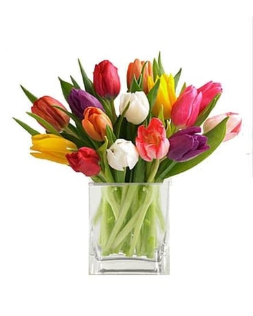 Vibrant Holland Tulips Flower Arrangement