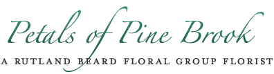 Pine Brook Logo