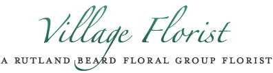 Village Logo