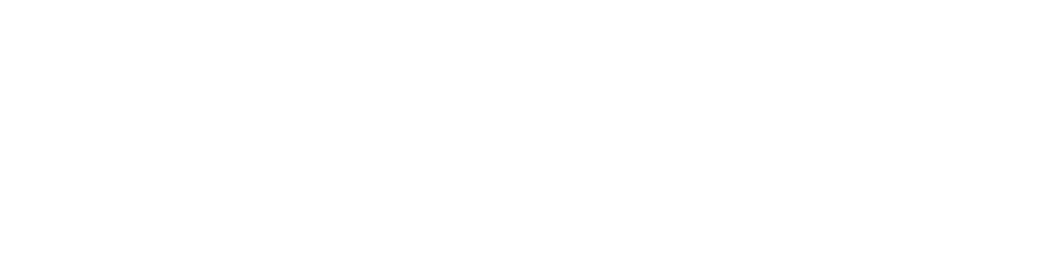 Mr. Florist NB - Logo