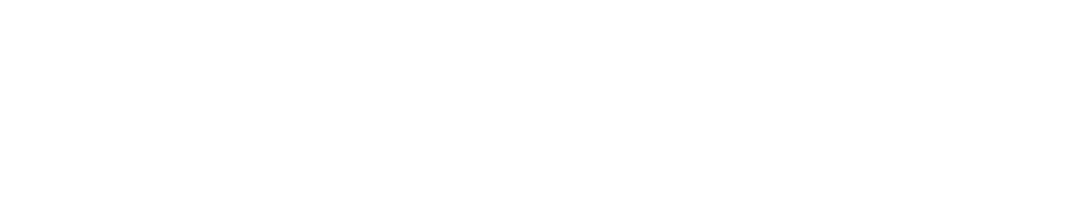 Mr. Florist Orange - Logo