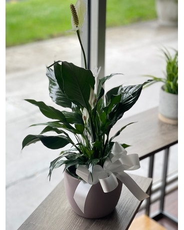 Happiness Flower Arrangement
