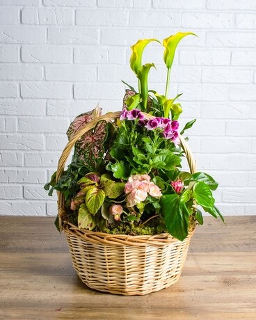 Green Meadows Flower Arrangement