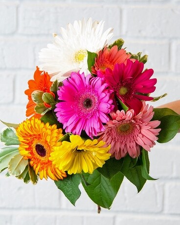 Sunshine Daisies Flower Arrangement