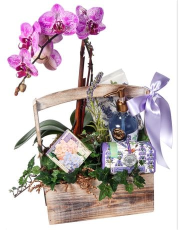 Spa Basket Flower Arrangement