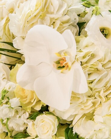 Designer's Choice - Whites Flower Arrangement