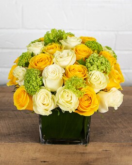 Standard size, 11 inches height and 10 inches wide.