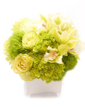 Standard size, 9 inches height and 11 inches wide.