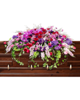 Fully Closed size, 80 inches height and 28 inches wide.