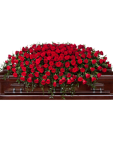 Standard size, 72 inches height and 26 inches wide.