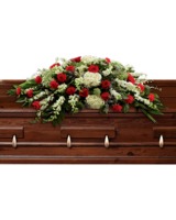 Standard size, 42 inches height and 22 inches wide.
