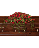 Standard size, 42 inches height and 22 inches wide.