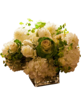 Deluxe size,  inches height and  inches wide.